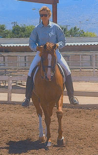 Fees for Horseback Riding Lessons, Horse Boarding in Albuquerque