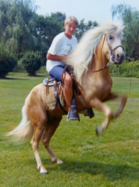 horse trainers in new mexico